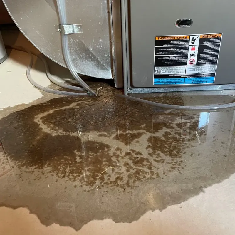Pipe Burst and Leak Restoration in Moriarty, NM